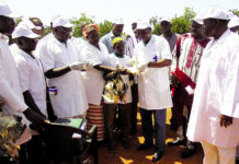 Lutte contre la maladie de Newcastle : la campagne de vaccination 2019-2020 lancée à Garango