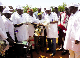 Lutte contre la maladie de Newcastle : la campagne de vaccination 2019-2020 lancée à Garango