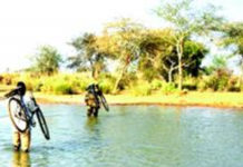 Île de Touroukoro dans le Sourou