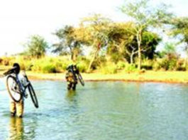 Île de Touroukoro dans le Sourou