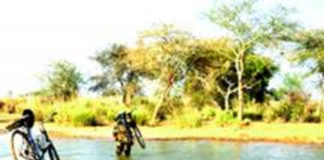 Île de Touroukoro dans le Sourou