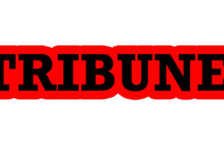 Information – désinformation