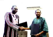 Archives numérisées des Editions Sidwaya : Les recherches photographiques désormais possibles