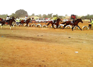 Hippisme/Grand prix du centenaire Nam Wata, le plus rapide