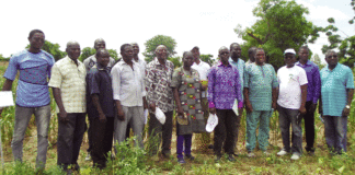 Recherche et production agricole au Burkina Faso