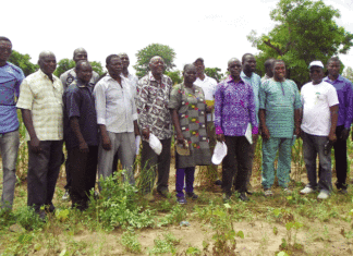 Recherche et production agricole au Burkina Faso