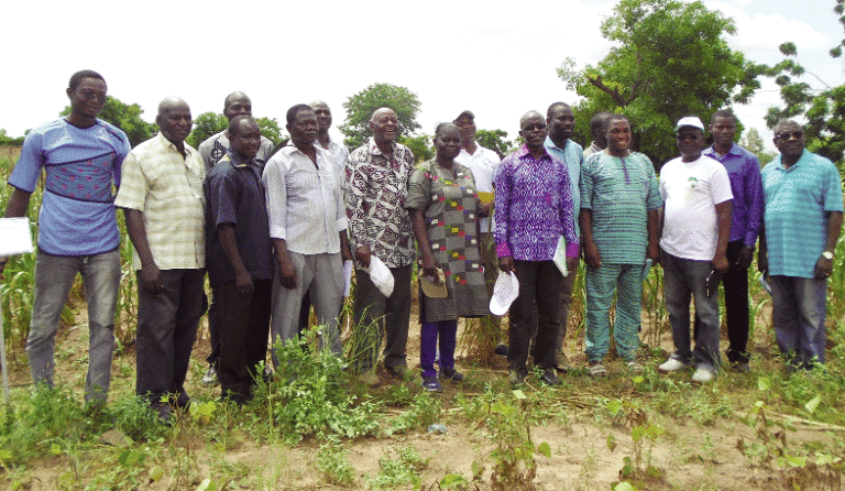 Recherche et production agricole au Burkina Faso