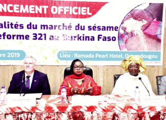 Commercialisation du sésame: les informations disponibles sur la plateforme 321