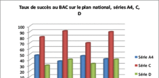 Baccalauréat 2019 : Un taux de succès de 36, 66%, qui interpelle les acteurs