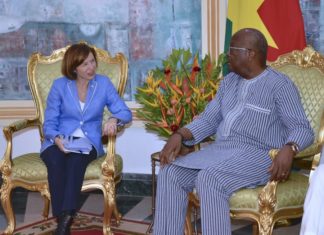 Lutte contre le terrorisme au Sahel: Florence Parly annonce l’opération Bourgou IV