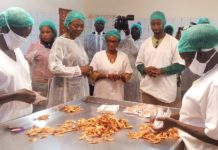 Unité de séchage de mangue : L’épouse du chef de l’Etat à « Rose Eclat »