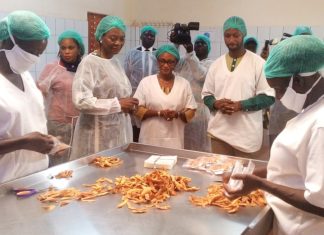 Unité de séchage de mangue : L’épouse du chef de l’Etat à « Rose Eclat »