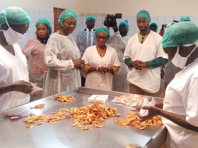 Unité de séchage de mangue : L’épouse du chef de l’Etat à « Rose Eclat »