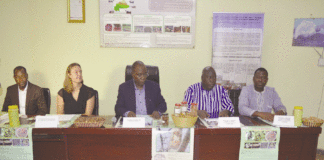 Normes et qualité au Burkina : La gomme arabique et le beurre de karité désormais «certifiés»