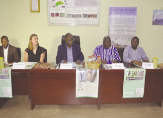 Normes et qualité au Burkina : La gomme arabique et le beurre de karité désormais «certifiés»