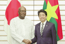 Coopération japonaise: faire profiter l’Afrique de l’expérience du développement nippon