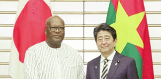Coopération japonaise: faire profiter l’Afrique de l’expérience du développement nippon