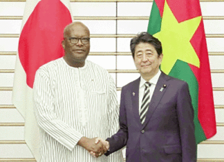 Coopération japonaise: faire profiter l’Afrique de l’expérience du développement nippon