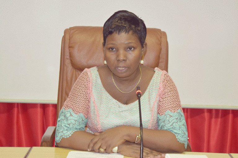 Programme d’action d’Istanbul: le Burkina prépare  son rapport d’évaluation