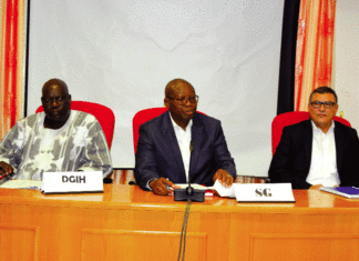 Projets de barrages: Ouessa, Bassiéri et Banwali en examen