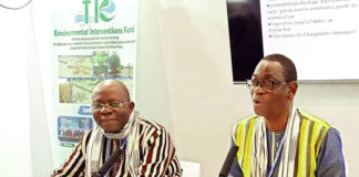 Lutte contre les changements climatiques : l’expérience du Burkina Faso séduit à la COP