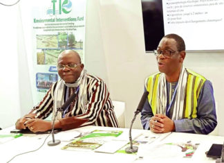 Lutte contre les changements climatiques : l’expérience du Burkina Faso séduit à la COP