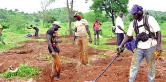 Région du Sud-Ouest : des forêts classées dans les griffes des orpailleurs