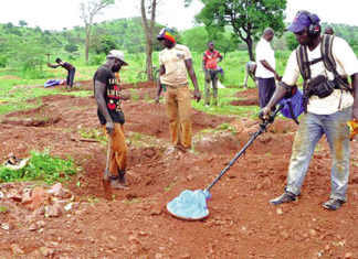 Région du Sud-Ouest : des forêts classées dans les griffes des orpailleurs