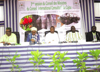 Conseil international consultatif du cajou : Donner une nouvelle dynamique à la filière en Afrique