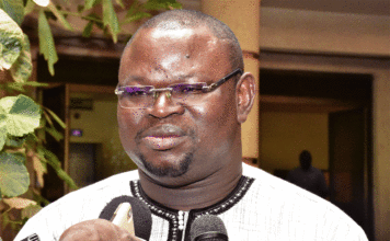 Monnaie unique de la CEDEAO «Théoriquement, c’est une opportunité», Pr. Mahamadou Diarra