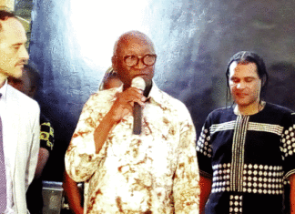 Fête de l’indépendance à Tenkodogo : Les réalisations de la diaspora présentées dans un film