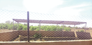 Projet de développement intégré communal pour la REDD+