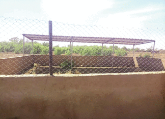 Projet de développement intégré communal pour la REDD+