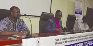 Exploitation des logiciels libres: Des informaticiens des ministères et institutions en formation