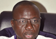 Accès au fonds vert pour le climat : La grande muraille valide son document stratégique