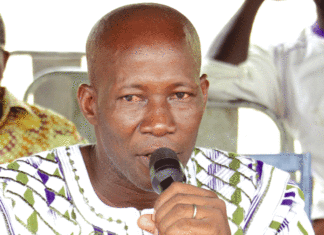 Production du coton : L’inaccessibilité à la terre, un plomb dans l’aile des femmes