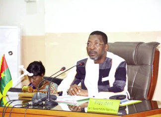 Vote des Burkinabè de l’étranger : le Code électoral modifié à minima