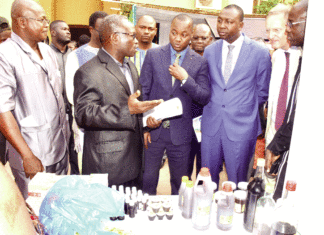 Appui à la compétitivité des entreprises 5 milliards F CFA pour trois filières