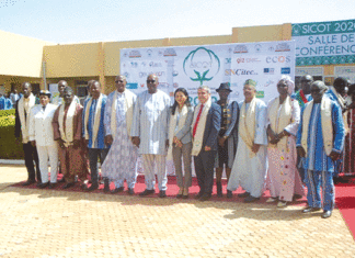 Promotion du coton en Afrique Face au défi de la transformation