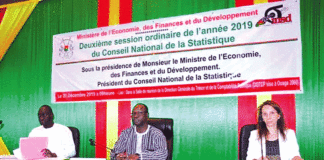 Conseil national de la statistique Pallier l’insuffisance des données