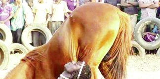 Festival international des arts équestres : la 2e édition à l’hippodrome de Ouagadougou