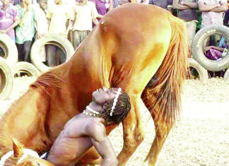 Festival international des arts équestres : la 2e édition à l’hippodrome de Ouagadougou