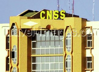 Recrutement frauduleux à la CNSS : deux agents plaident non coupables