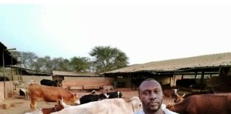 Filière lait local : Les cinq plaies d’un secteur porteur