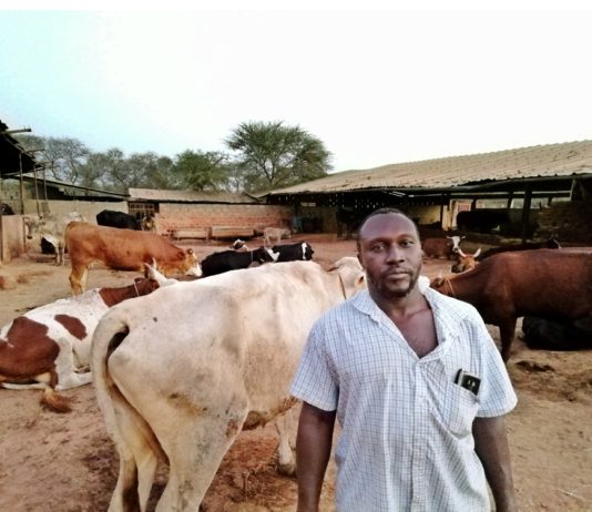 Filière lait local : Les cinq plaies d’un secteur porteur