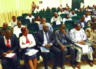 Financement de l’agrobusiness:un projet pour accroître la production agricole