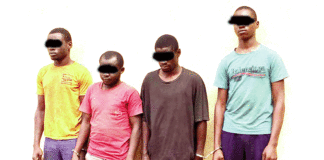 Bobo-Dioulasso : Des étudiants présumés délinquants mis aux arrêts