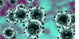 Coronavirus: La nécessité d’un élan mondial de solidarité