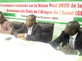 CEDEAO : Des acteurs mûrissent la vision post 2020
