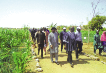 Productions agro-sylvo-pastorales et halieutiques